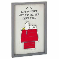 Peanuts® Snoopy And Woodstock Life Doesn't Get Better Framed Wall Art
