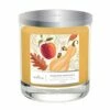 Hallmark Harvest Festival 3-Wick Jar Candle, 16 Oz.