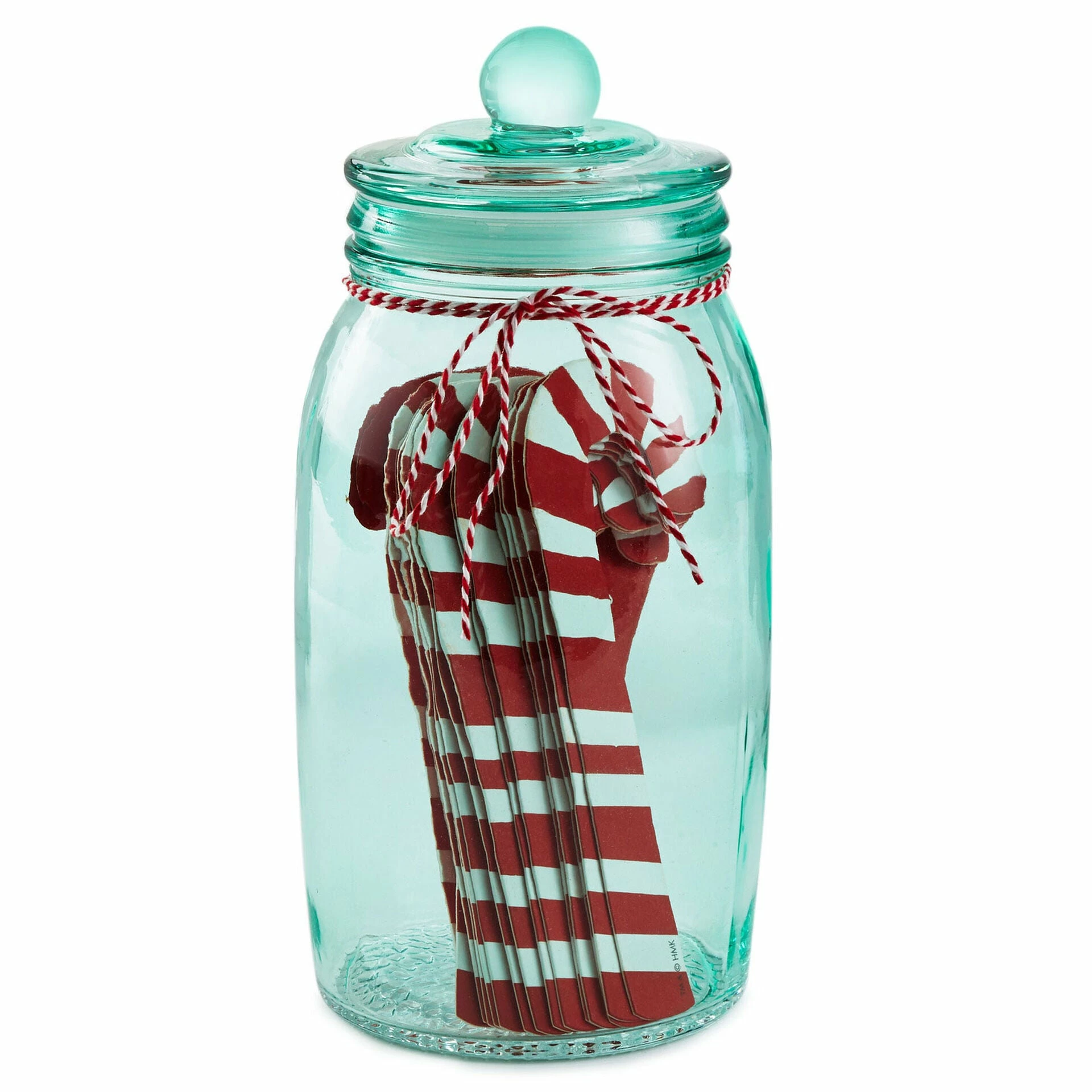 Hallmark Christmas Activities Prompted Jar With 25 Candy-Cane Papers 1 Hallmark Christmas Activities Prompted Jar With 25 Candy-Cane Papers